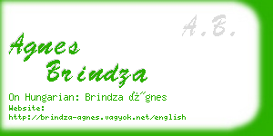 agnes brindza business card